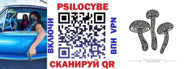 купить наркотик  Николаевск  Галлюциногенные грибы мухоморы 